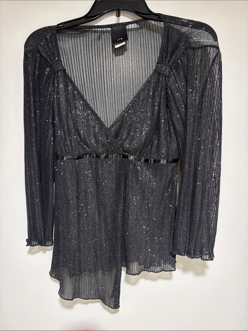 NWOT- never worn Sheer Metallic Pleated V-Neck Blouse - Black